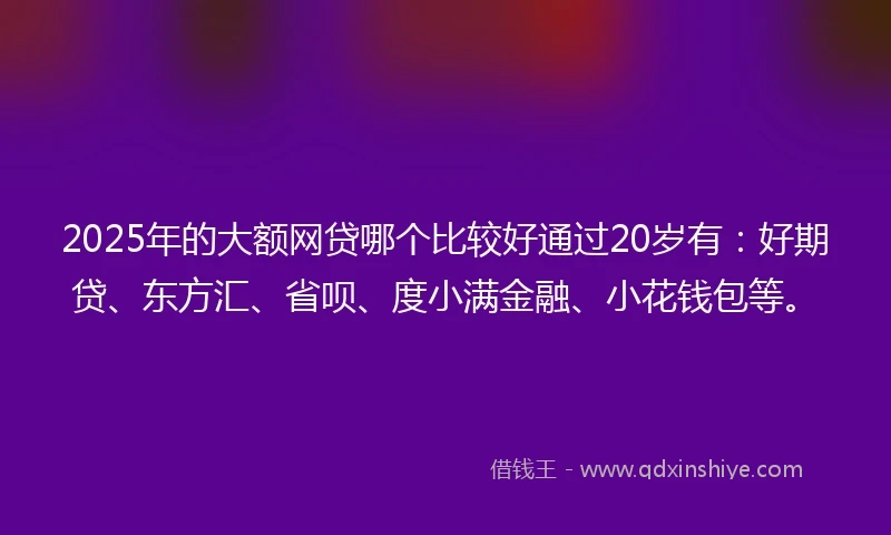 2025年的大额网贷哪个比较好通过20岁有：好期贷、东方汇、省呗、度小满金融、小花钱包等。