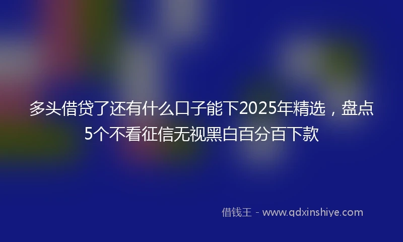 多头借贷了还有什么口子能下2025年精选，盘点5个不看征信无视黑白百分百下款