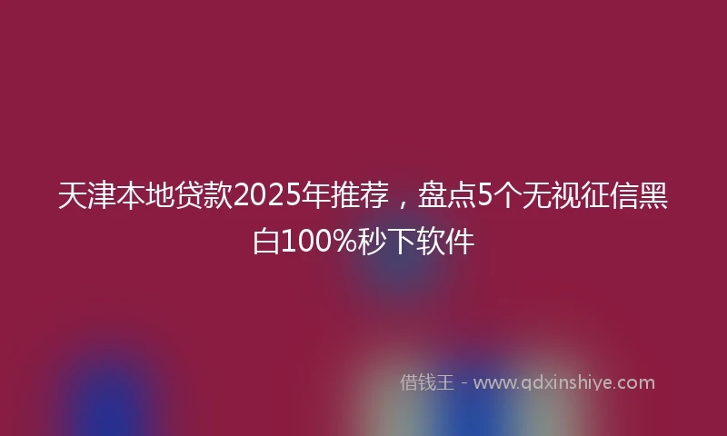 天津本地贷款2025年推荐，盘点5个无视征信黑白100%秒下软件