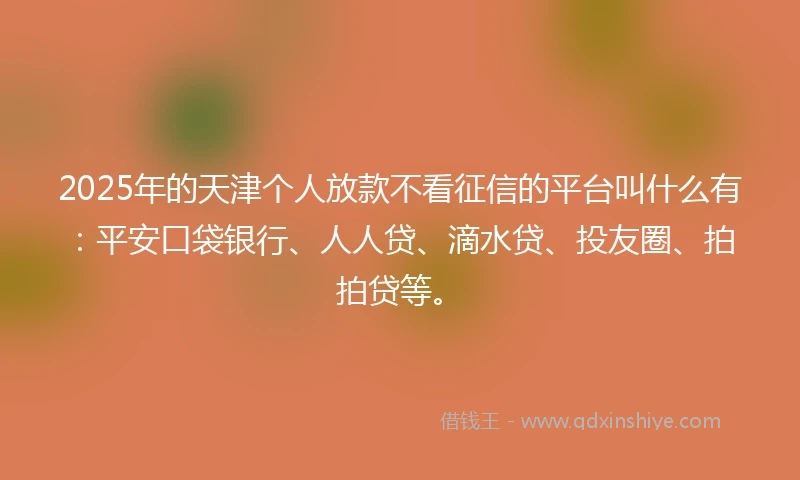 2025年的天津个人放款不看征信的平台叫什么有：平安口袋银行、人人贷、滴水贷、投友圈、拍拍贷等。