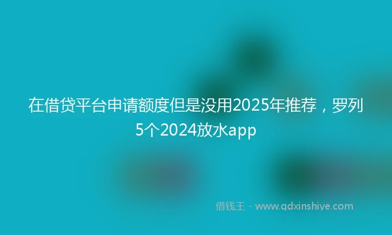 在借贷平台申请额度但是没用2025年推荐，罗列5个2024放水app