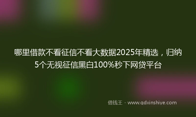 哪里借款不看征信不看大数据2025年精选，归纳5个无视征信黑白100%秒下网贷平台