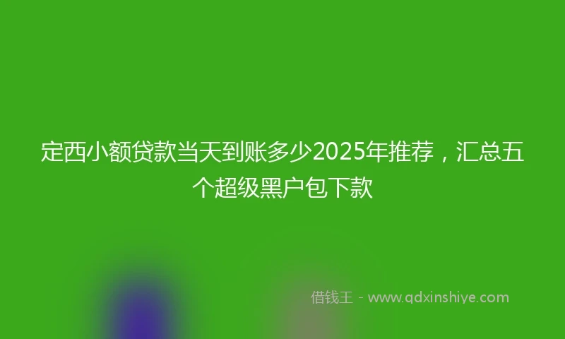 定西小额贷款当天到账多少2025年推荐，汇总五个超级黑户包下款