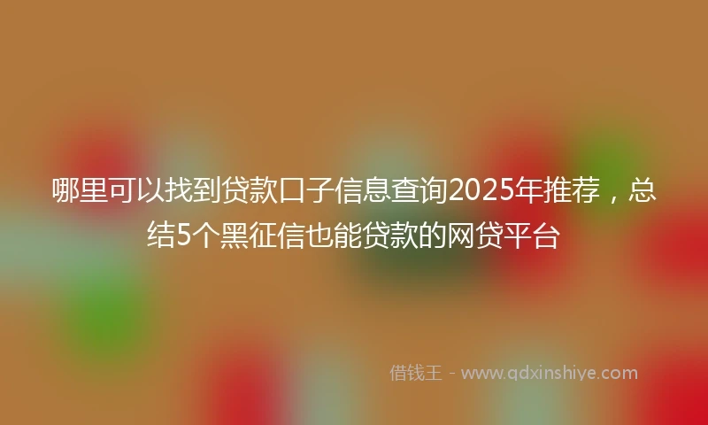 哪里可以找到贷款口子信息查询2025年推荐，总结5个黑征信也能贷款的网贷平台