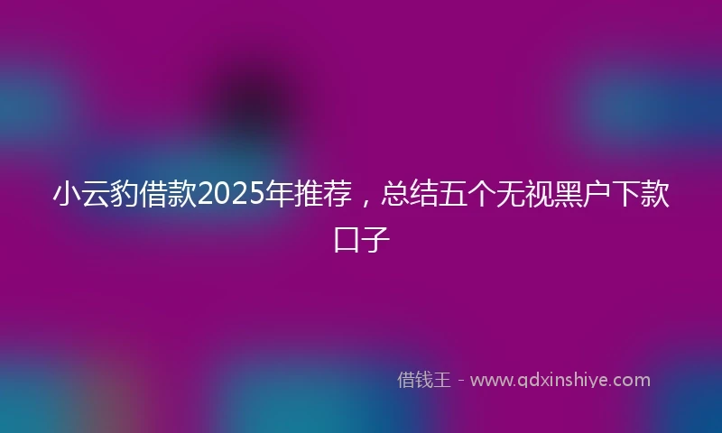 小云豹借款2025年推荐，总结五个无视黑户下款口子