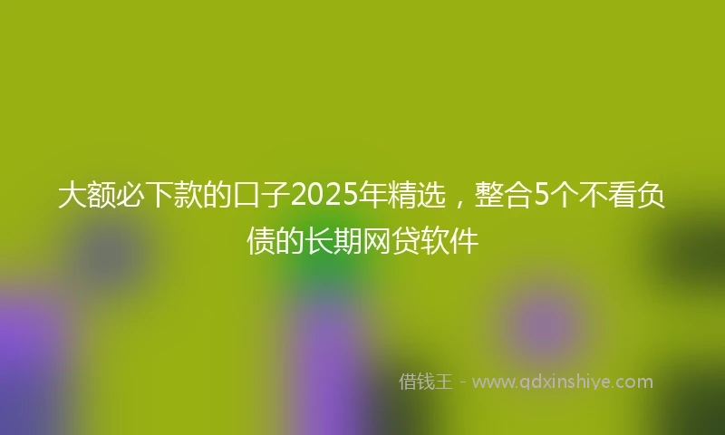 大额必下款的口子2025年精选，整合5个不看负债的长期网贷软件