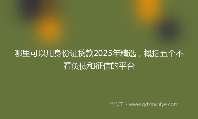 哪里可以用身份证贷款2025年精选，概括五个不看负债和征信的平台