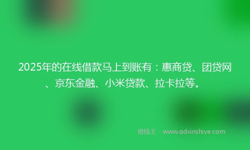 2025年的在线借款马上到账有：惠商贷、团贷网、京东金融、小米贷款、拉卡拉等。