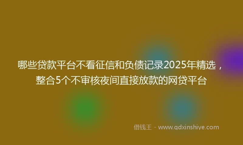 哪些贷款平台不看征信和负债记录2025年精选，整合5个不审核夜间直接放款的网贷平台