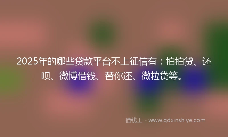 2025年的哪些贷款平台不上征信有：拍拍贷、还呗、微博借钱、替你还、微粒贷等。