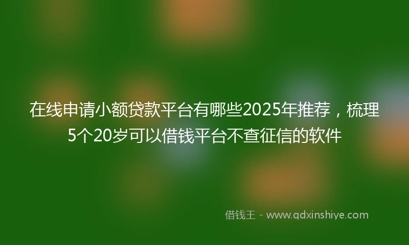 在线申请小额贷款平台有哪些2025年推荐，梳理5个20岁可以借钱平台不查征信的软件