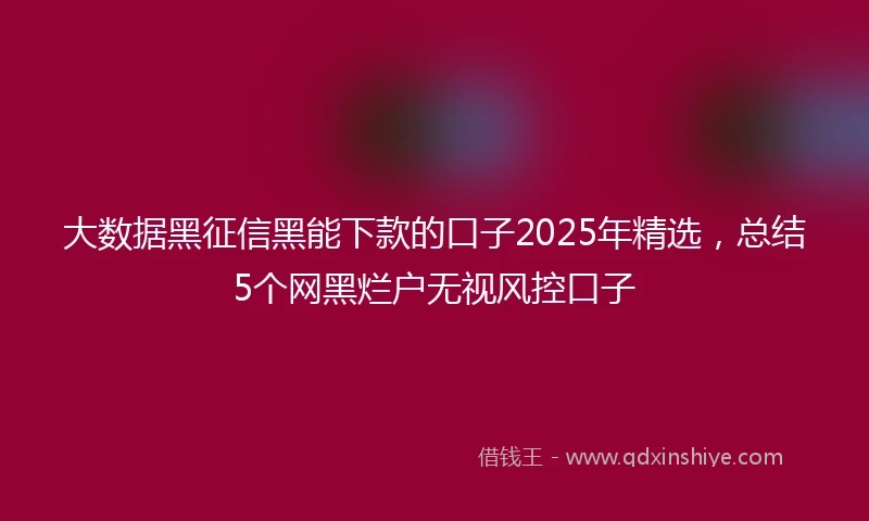 大数据黑征信黑能下款的口子2025年精选，总结5个网黑烂户无视风控口子