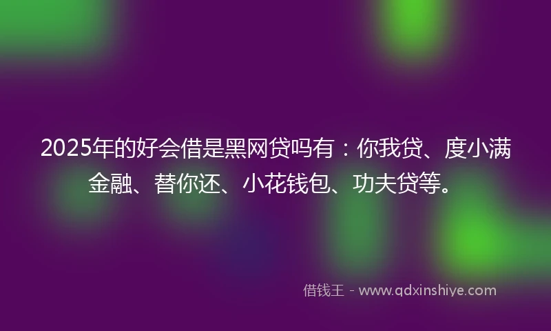 2025年的好会借是黑网贷吗有：你我贷、度小满金融、替你还、小花钱包、功夫贷等。
