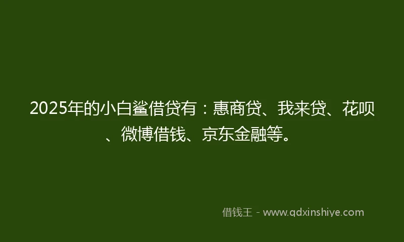 2025年的小白鲨借贷有：惠商贷、我来贷、花呗、微博借钱、京东金融等。