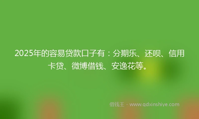 2025年的容易贷款口子有：分期乐、还呗、信用卡贷、微博借钱、安逸花等。