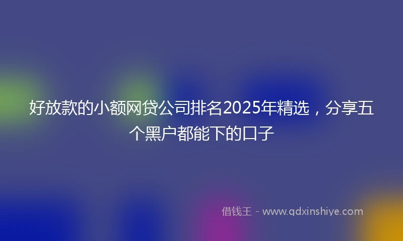 好放款的小额网贷公司排名2025年精选，分享五个黑户都能下的口子