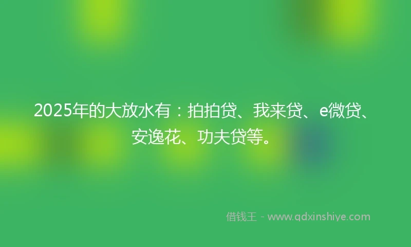 2025年的大放水有：拍拍贷、我来贷、e微贷、安逸花、功夫贷等。