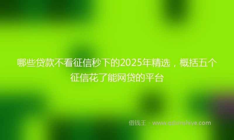 哪些贷款不看征信秒下的2025年精选，概括五个征信花了能网贷的平台