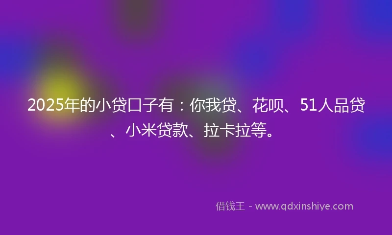 2025年的小贷口子有：你我贷、花呗、51人品贷、小米贷款、拉卡拉等。