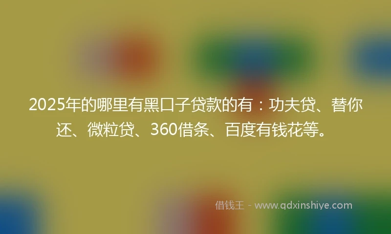 2025年的哪里有黑口子贷款的有：功夫贷、替你还、微粒贷、360借条、百度有钱花等。