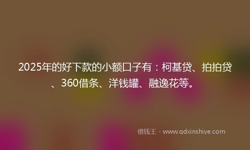 2025年的好下款的小额口子有：柯基贷、拍拍贷、360借条、洋钱罐、融逸花等。