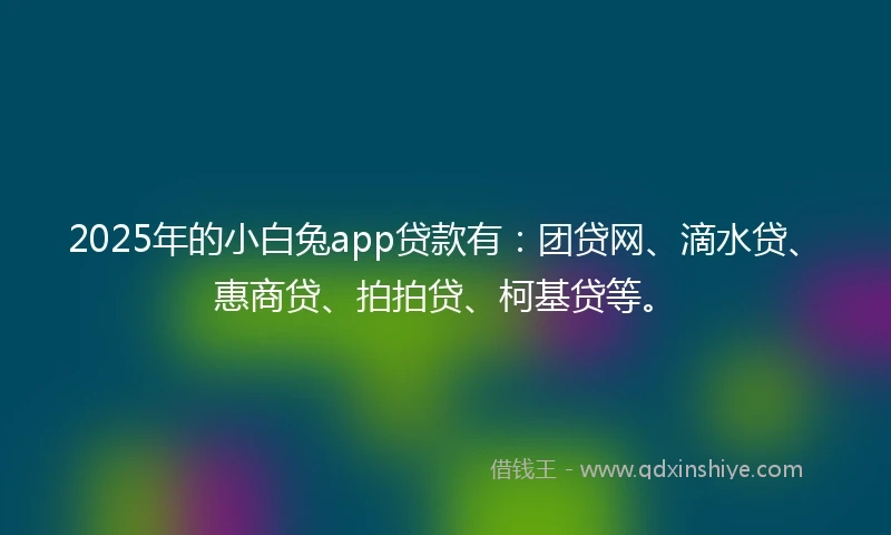 2025年的小白兔app贷款有：团贷网、滴水贷、惠商贷、拍拍贷、柯基贷等。