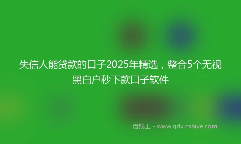 失信人能贷款的口子2025年精选，整合5个无视黑白户秒下款口子软件