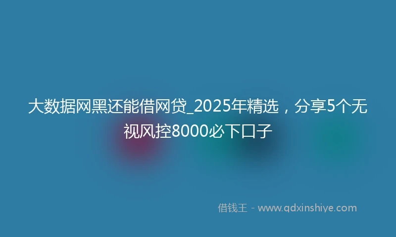 大数据网黑还能借网贷_2025年精选，分享5个无视风控8000必下口子