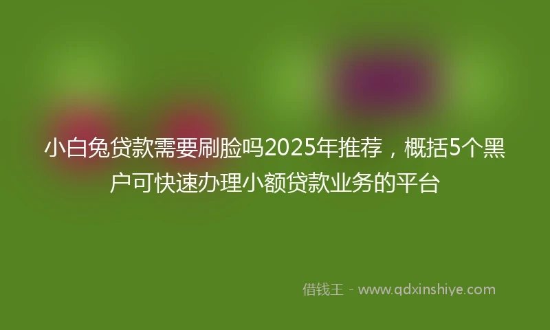 小白兔贷款需要刷脸吗2025年推荐，概括5个黑户可快速办理小额贷款业务的平台