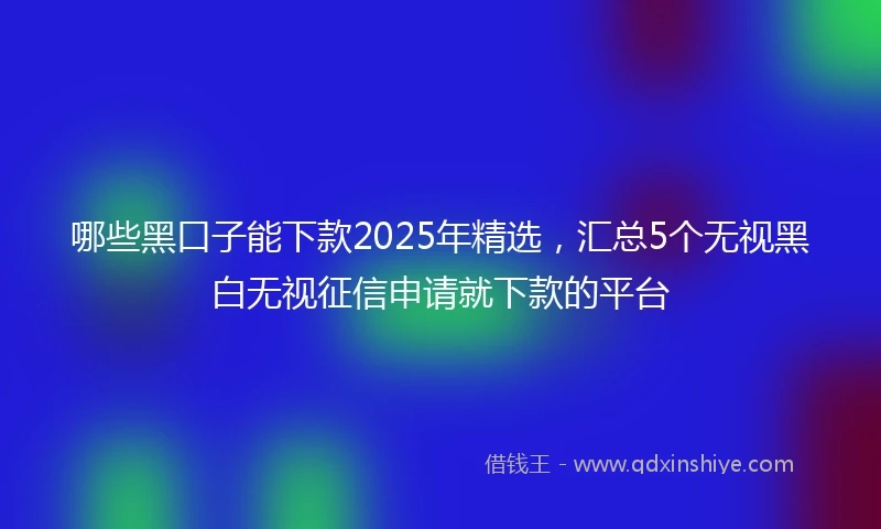 哪些黑口子能下款2025年精选，汇总5个无视黑白无视征信申请就下款的平台