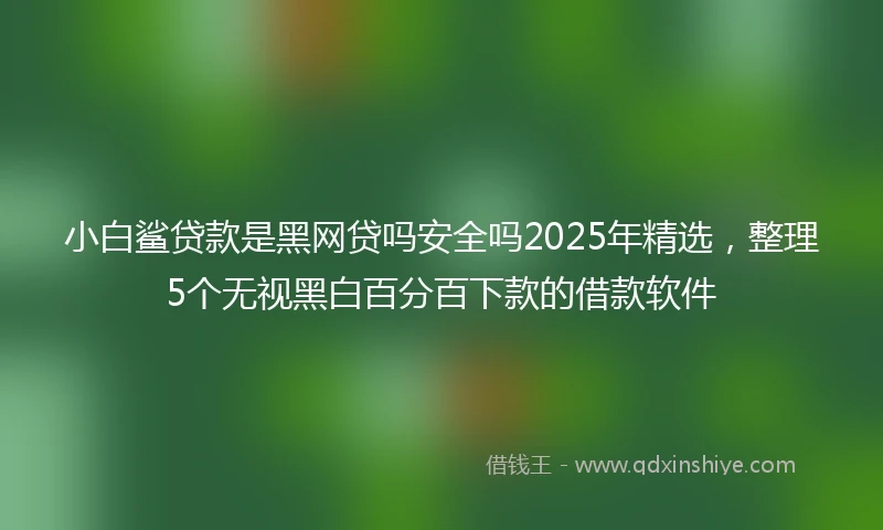 小白鲨贷款是黑网贷吗安全吗2025年精选，整理5个无视黑白百分百下款的借款软件