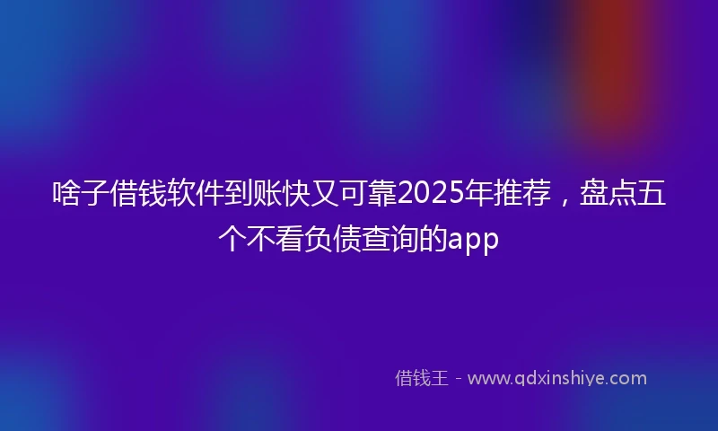 啥子借钱软件到账快又可靠2025年推荐，盘点五个不看负债查询的app