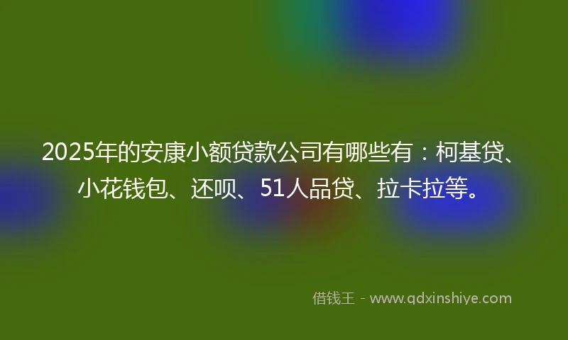 2025年的安康小额贷款公司有哪些有：柯基贷、小花钱包、还呗、51人品贷、拉卡拉等。