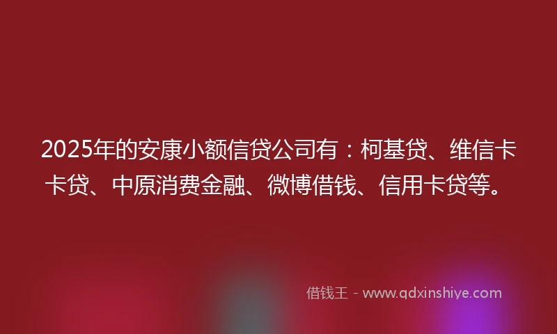 2025年的安康小额信贷公司有：柯基贷、维信卡卡贷、中原消费金融、微博借钱、信用卡贷等。