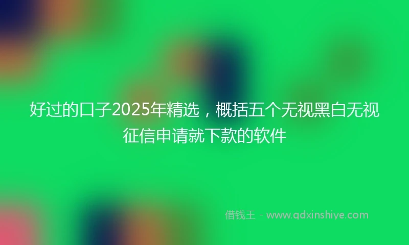 好过的口子2025年精选，概括五个无视黑白无视征信申请就下款的软件