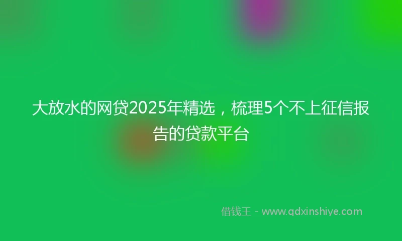 大放水的网贷2025年精选，梳理5个不上征信报告的贷款平台