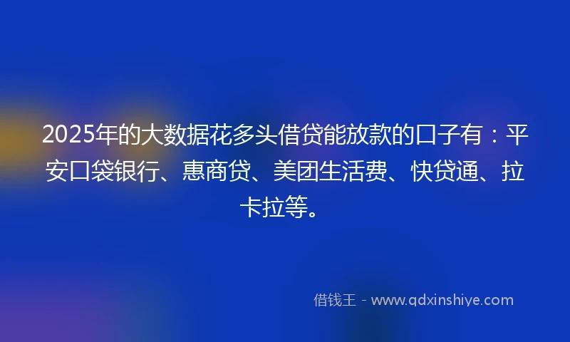 2025年的大数据花多头借贷能放款的口子有：平安口袋银行、惠商贷、美团生活费、快贷通、拉卡拉等。