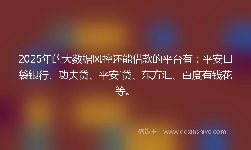 2025年的大数据风控还能借款的平台有：平安口袋银行、功夫贷、平安i贷、东方汇、百度有钱花等。