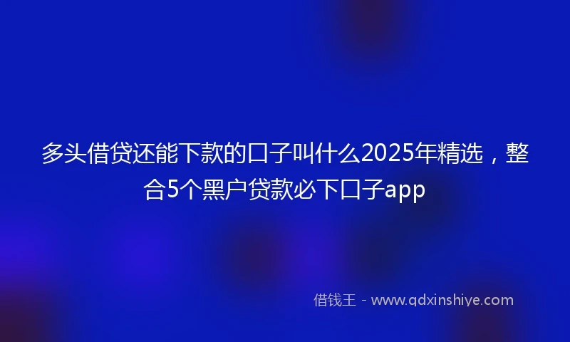 多头借贷还能下款的口子叫什么2025年精选，整合5个黑户贷款必下口子app