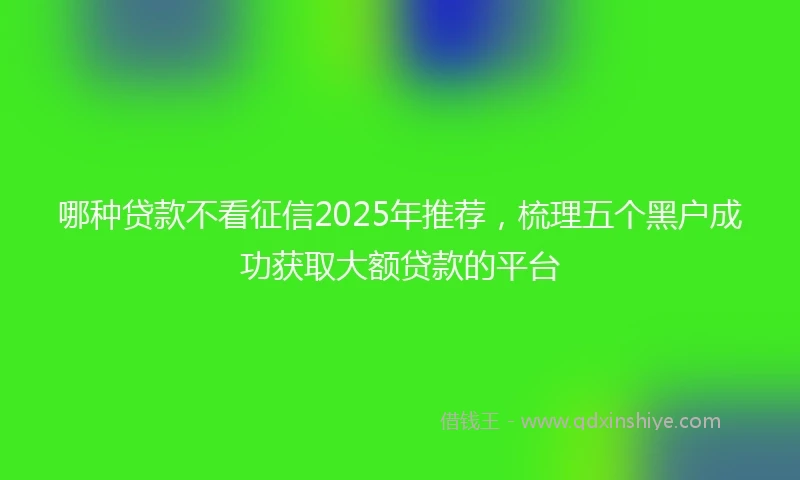 哪种贷款不看征信2025年推荐，梳理五个黑户成功获取大额贷款的平台