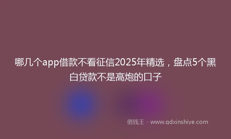 哪几个app借款不看征信2025年精选，盘点5个黑白贷款不是高炮的口子