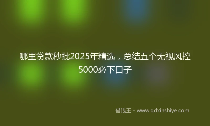 哪里贷款秒批2025年精选，总结五个无视风控5000必下口子