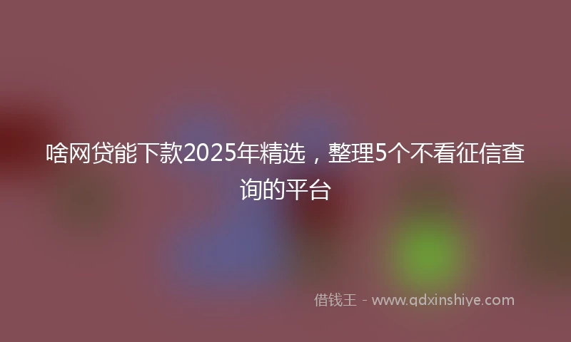 啥网贷能下款2025年精选，整理5个不看征信查询的平台