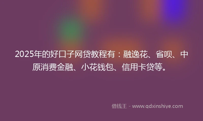 2025年的好口子网贷教程有：融逸花、省呗、中原消费金融、小花钱包、信用卡贷等。