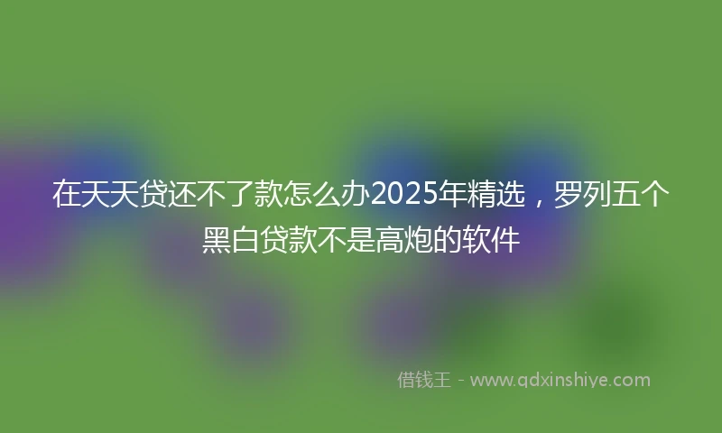 在天天贷还不了款怎么办2025年精选，罗列五个黑白贷款不是高炮的软件