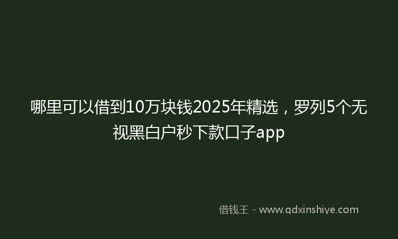 哪里可以借到10万块钱2025年精选，罗列5个无视黑白户秒下款口子app