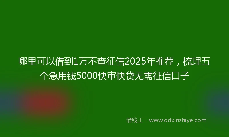 哪里可以借到1万不查征信2025年推荐，梳理五个急用钱5000快审快贷无需征信口子