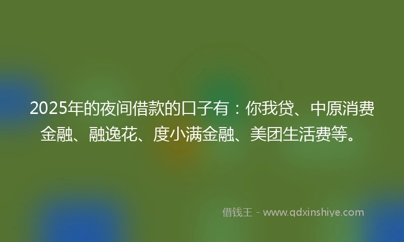 2025年的夜间借款的口子有：你我贷、中原消费金融、融逸花、度小满金融、美团生活费等。
