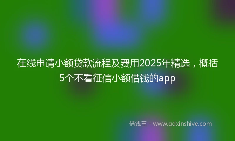 在线申请小额贷款流程及费用2025年精选，概括5个不看征信小额借钱的app