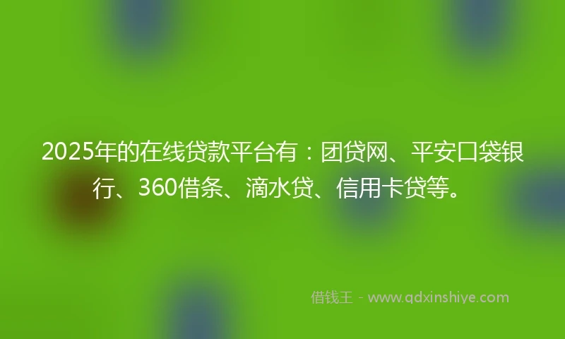 2025年的在线贷款平台有：团贷网、平安口袋银行、360借条、滴水贷、信用卡贷等。